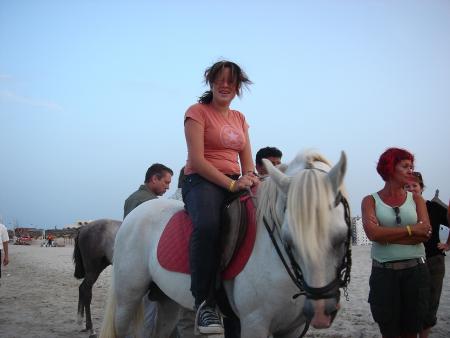 sortie cheval